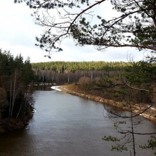 Gauja vēlā rudenī. (Varis)