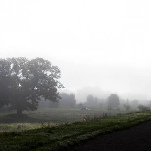Rīta migla. /Marika/
