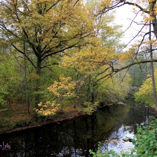 Rudens Lobes upes krastā. (Inese)