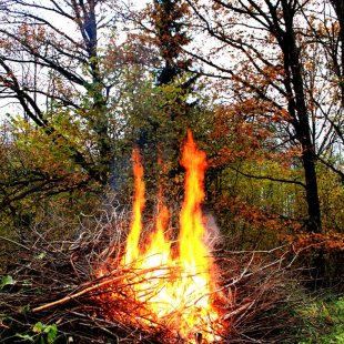 Ugunskurs rudens mežā. /Varis/