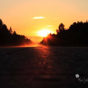 Vasaras saulriets. (Inese)