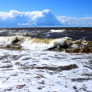 Jūras viļņi. Saulkrasti. /Marika/