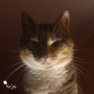 Mimmīte. /Iesūtījusi Vita/