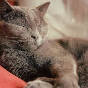 Frīda. (Iesūtījusi Agija)