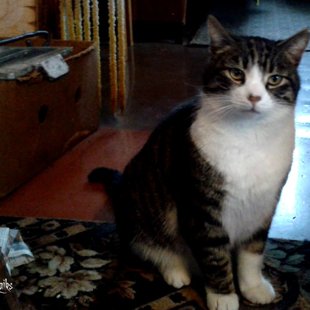 Čudiks no Žagaru ciema. /Iesūtījusi Sarmīte/