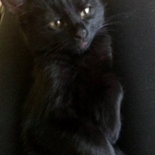 Huga. /Iesūtījusi Marija/