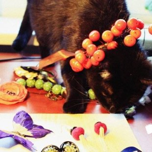 Madaras Minnija no Ikšķiles. (Iesūtījusi Madara)