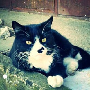 Mincene. /Iesūtījusi Lana/