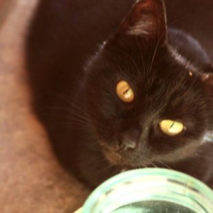 Minnija no Rīgas. /Iesūtījusi Madara/