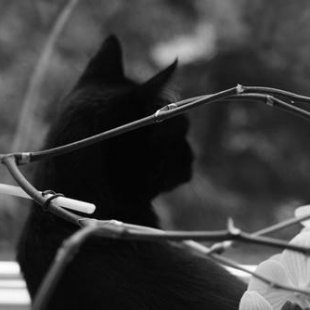 Minnija no Rīgas. /Iesūtījusi Madara/