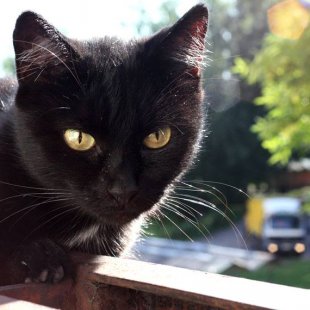 Minnija no Rīgas. /Iesūtījusi Madara/