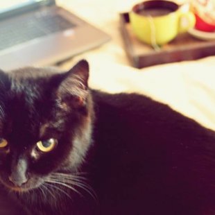 Minnija no Rīgas. /Iesūtījusi Madara/