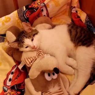 Muris no Jūrmalas.  /Iesūtījusi Gunita/