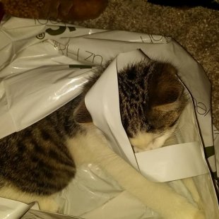 Muris no Jūrmalas.  /Iesūtījusi Gunita/