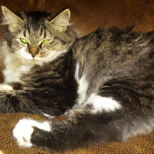 Kita. /Iesūtījusi Linda/