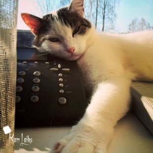 Pīka. /Iesūtījusi Inese/