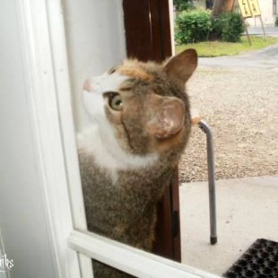 Kas tur notiek? /Iesūtījis Sergio/