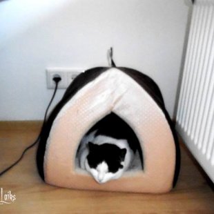 Tosja no Reikjavikas. / Iesūtījusi Jeļena/